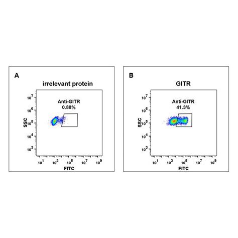 Anti Gitr Antibodydm79 Rabbit Mab Pd L1 Elisa Kit Dnmt1 Caspase