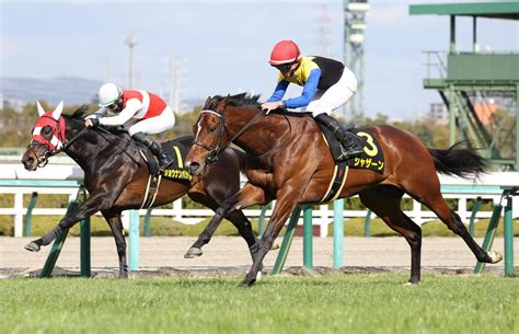 シャザーン鮮やか差し切り 父カナロア母リングの2・2億円良血馬がクラシック名乗り／すみれs 3歳馬特集 競馬写真ニュース 日刊スポーツ