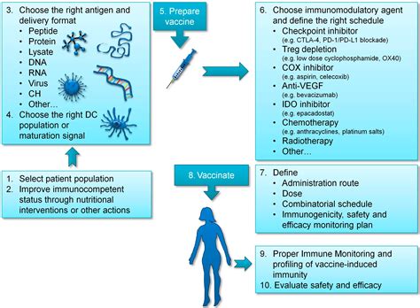 Biomedicines Free Full Text Cancer Vaccines In Ovarian Cancer How