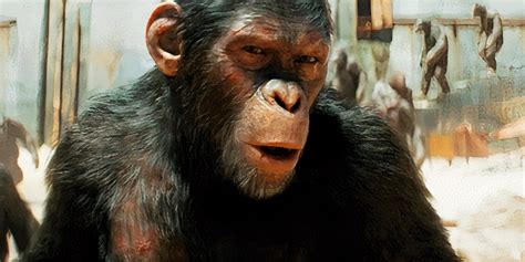 Kingdom Of The Planet Of The Apes Box Office Looks So Much Better Now