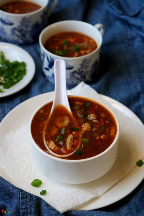 Chicken Hot And Sour Soup Spicy World Simple And Easy Recipes By Arpita