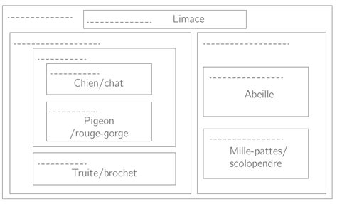 classification en groupes emboités collège PDF Cours Exercices Examens