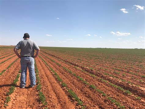 The American Farmer - My Job Depends on Ag Magazine