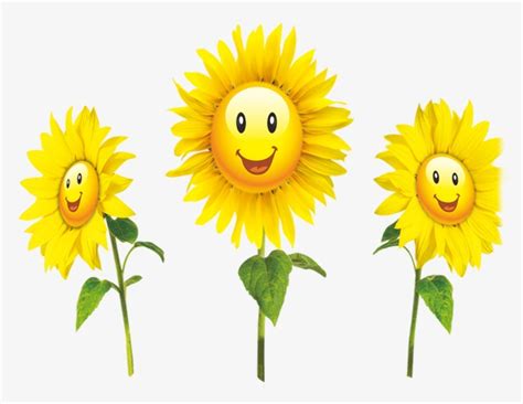 Download High Quality smile clipart sunflower Transparent PNG Images ...