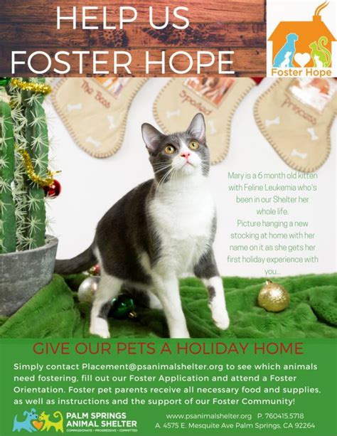 Home - Friends of the Palm Springs Animal Shelter