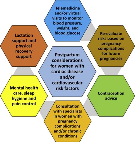 The Importance Of Cardiovascular Risk Assessment And Pregnancy Heart