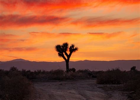 Top Hotels in Palmdale, California - Cancel FREE on most hotels ...