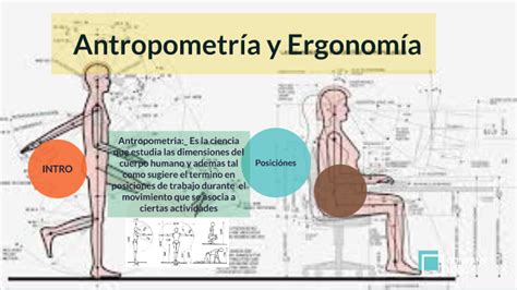 Antropometria Y Ergonomia By C Sar Fernando Gonzales Canales On Prezi