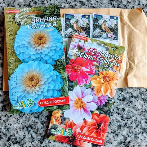 Are There Blue Zinnias We Bought Some Seeds Bunnys Garden