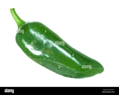 Green Jalapeno Pepper Isolated On White Background Stock Photo Alamy