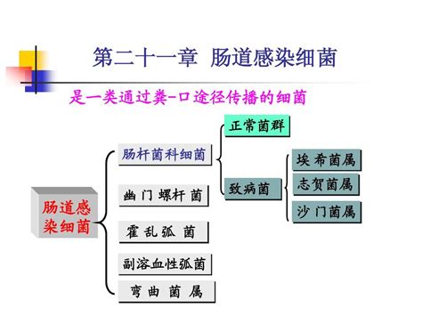 第21章 肠道杆菌word文档在线阅读与下载无忧文档