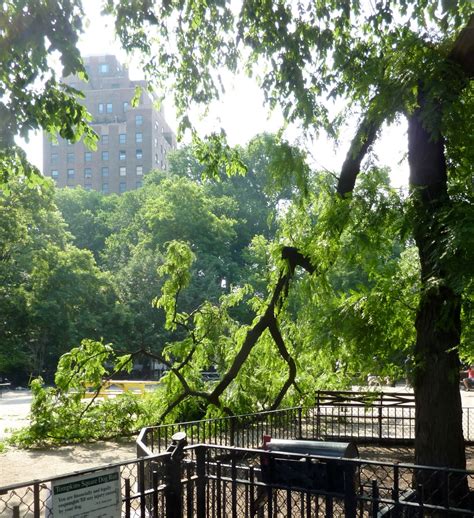 Ev Grieve Storm Damage At The Tompkins Square Park Dog Run