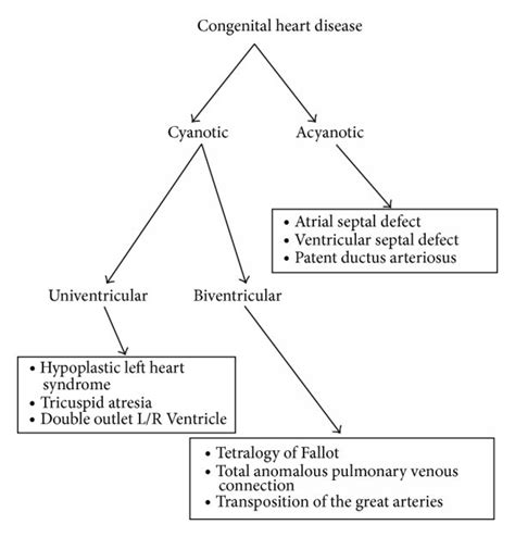 Schematic Representation Of A Classification System For Congenital