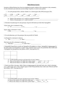 Bikini Bottom Genetics Worksheet