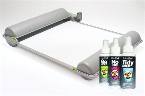 brilliant pad company net worth 2020