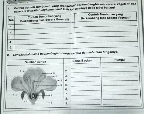 SOLVED Tolong Bantuannya Besok Mau Di Kumpulkan Perkembangbiakan