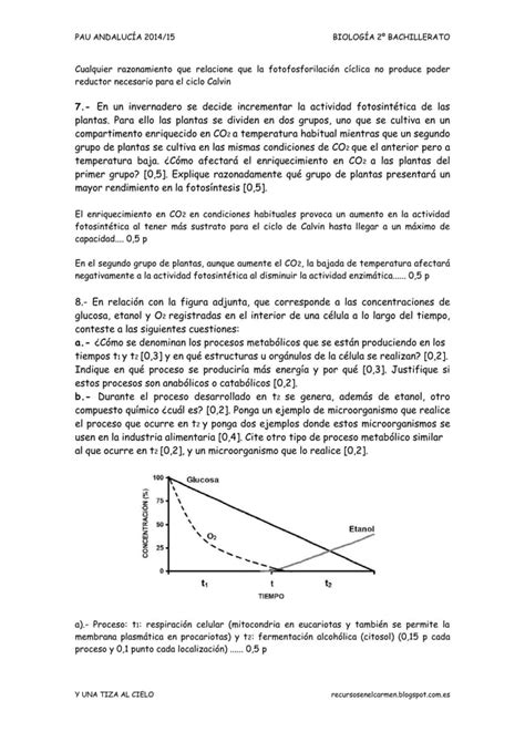 Biologia Pau Andalucia Citolog A Pdf