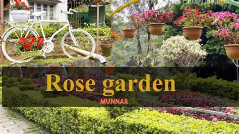 Munnar Rose Garden Munnar Munnar Tourist Places Youtube