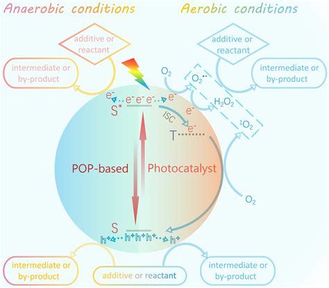 吉林大学刘晓明教授团队 Chem Soc Rev综述：多孔有机聚合物材料光催化有机合成中国聚合物网科教新闻