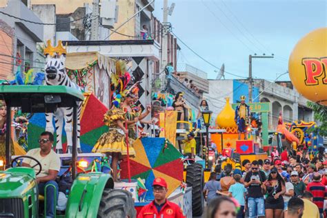 Conheça os homenageados do Carnaval Vitória das Alegorias 2024 Blog