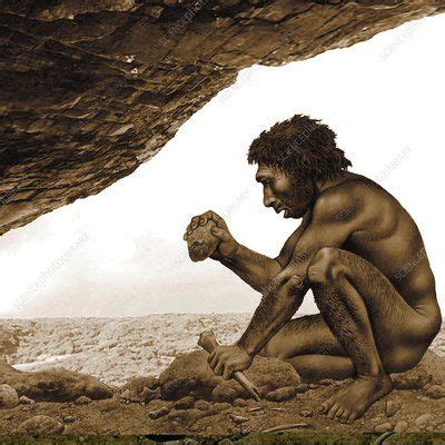 Homo Antecessor Artwork Stock Image C013 9575 Science Photos