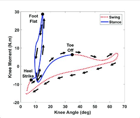 | Modeling of human knee stiffness during walking. The averaged knee... | Download Scientific ...