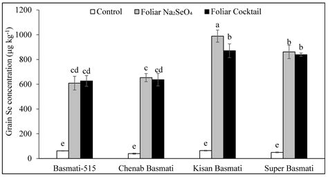 Agronomy Free Full Text Biofortification Of Diverse Basmati Rice Cultivars With Iodine