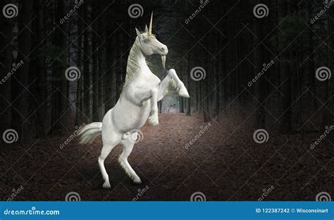 20217 Unicorn Photos Free And Royalty Free Stock Photos From Dreamstime