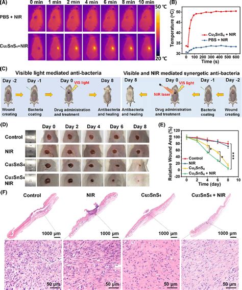 A In Vivo Thermal Infrared Images Of Mice After Different Treatments