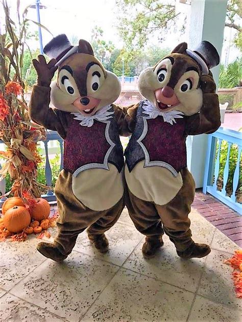 Chip N Dale Appear In A Halloween Costume At Old Key West Resort