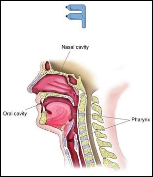 Unit 3 Topic 1 Articulation Introduction Unit 3 Topic 2 Bones Of