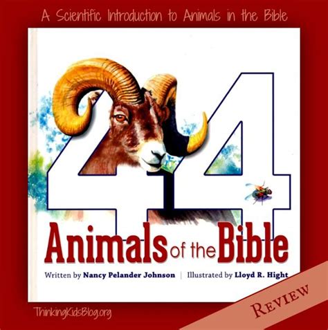 Fabulous Christian Picture Books For Children Theyll Love Animals In