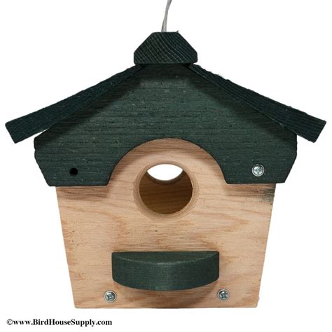 Songbird Essentials Cedar Bluebird Feeder For 36