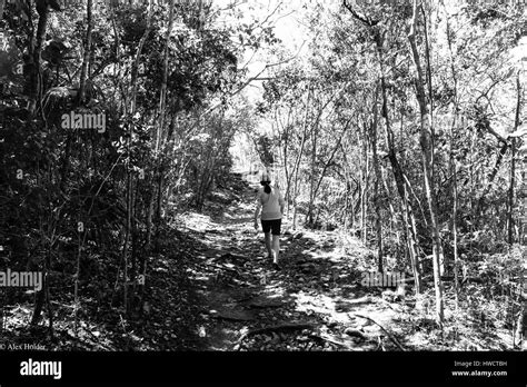 Hiking on St. John's, USVI Stock Photo - Alamy