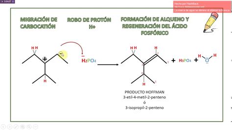 Reacciones E Deshidrataci N Alcoholica Y Adici N De Hidr Cidos A