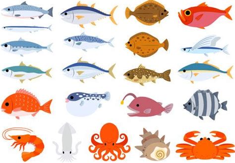 魚介類セットイラスト | 魚イラスト, イラスト, 無料 イラスト