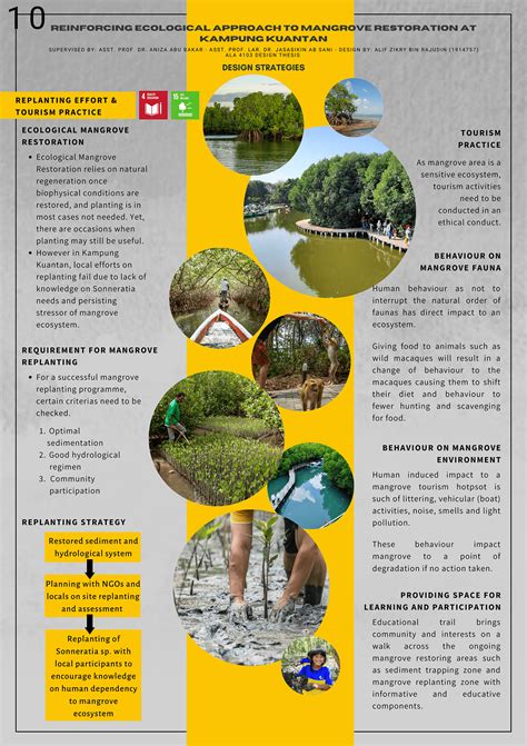 PART 1: Mangrove Restoration :: Behance