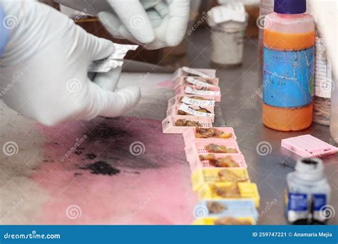 Chantillons De Biopsie En Cours De Traitement Au Laboratoire De