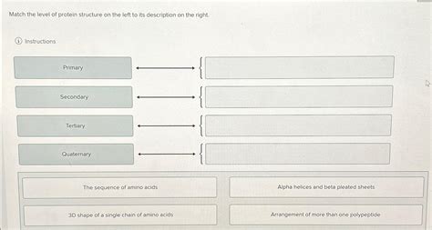 Solved Match the level of protein structure on the left to | Chegg.com 