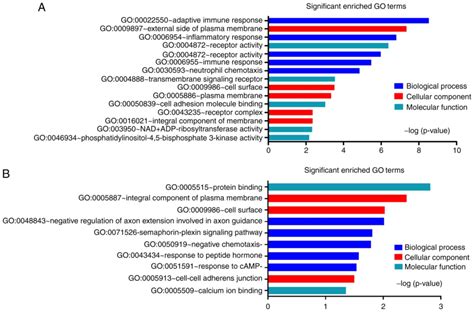 Construction And Analysis Of The LncRNAmiRNAmRNA Network Based On