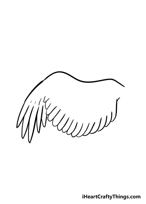 Wing Drawing - How To Draw A Wing Step By Step