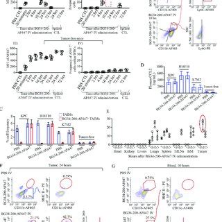 Bg Intravenous Administration Induces Antitumor Effects In