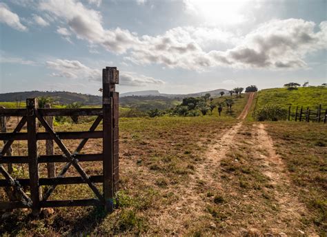 A O De Usucapi O De Propriedade Rural