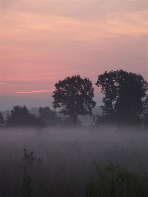 Free Images Landscape Tree Nature Cloud Sun Fog Sunrise Sunset