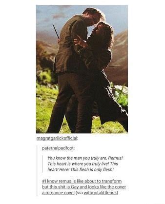 Pin By Luna On Marauders Harry Potter Funny Harry Potter Facts Gay Harry Potter