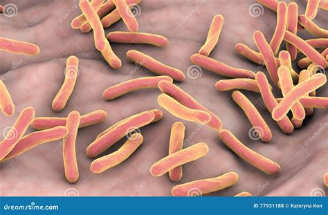 Bacteria Mycobacterium Tuberculosis Stock Illustration Illustration