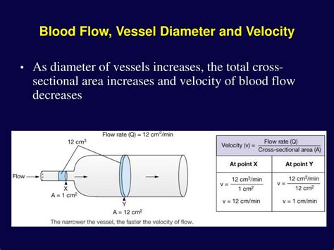 Ppt Vascular Physiology Powerpoint Presentation Free Download Id