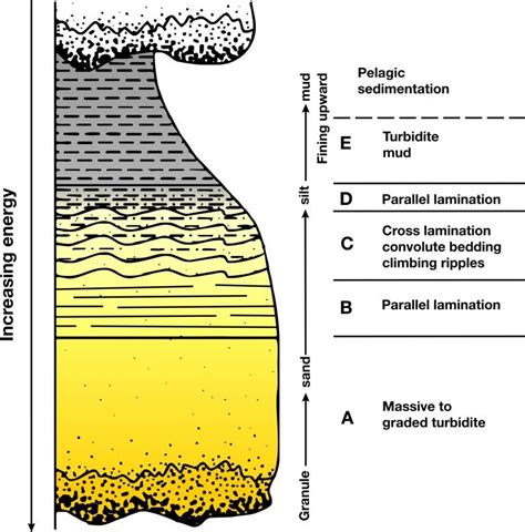 Turbidity currents and turbidites – Geology is the Way