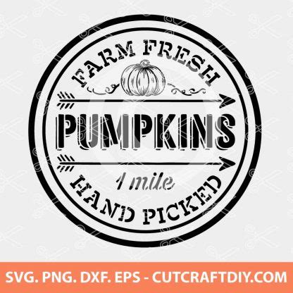 Farm Fresh Pumpkin Hand Picked Svg Fall Svg Pumpkin Season Svg