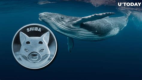 131 Billion Shiba Inu SHIB Bought By Whale As Price Reaches Key Support